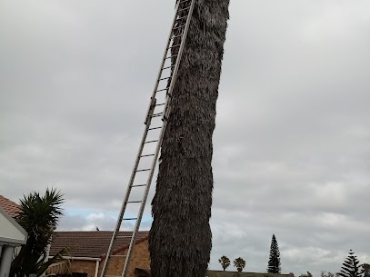 Tree cutting Southfield Cape Town