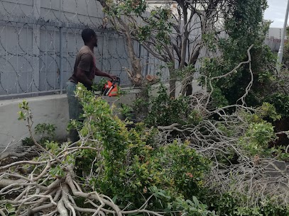 Tree cutting Southfield Cape Town